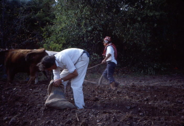 Jens Flesj� planting 