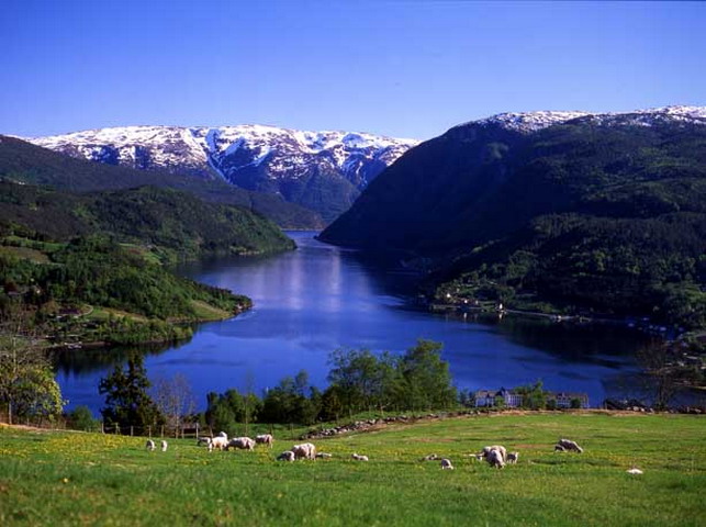 View of the Ulvik fjord
